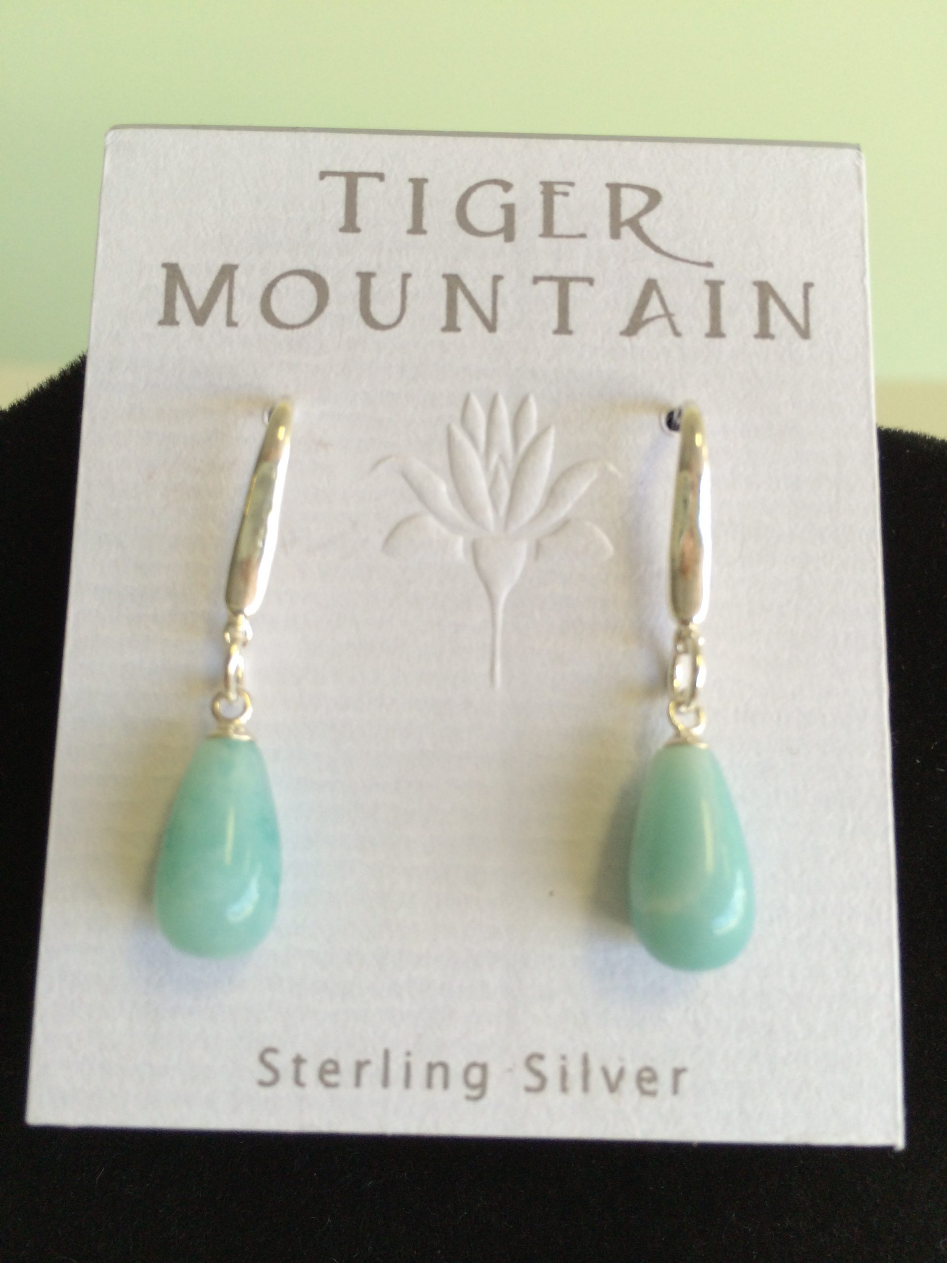 Sterling Silver Aqua Earrings