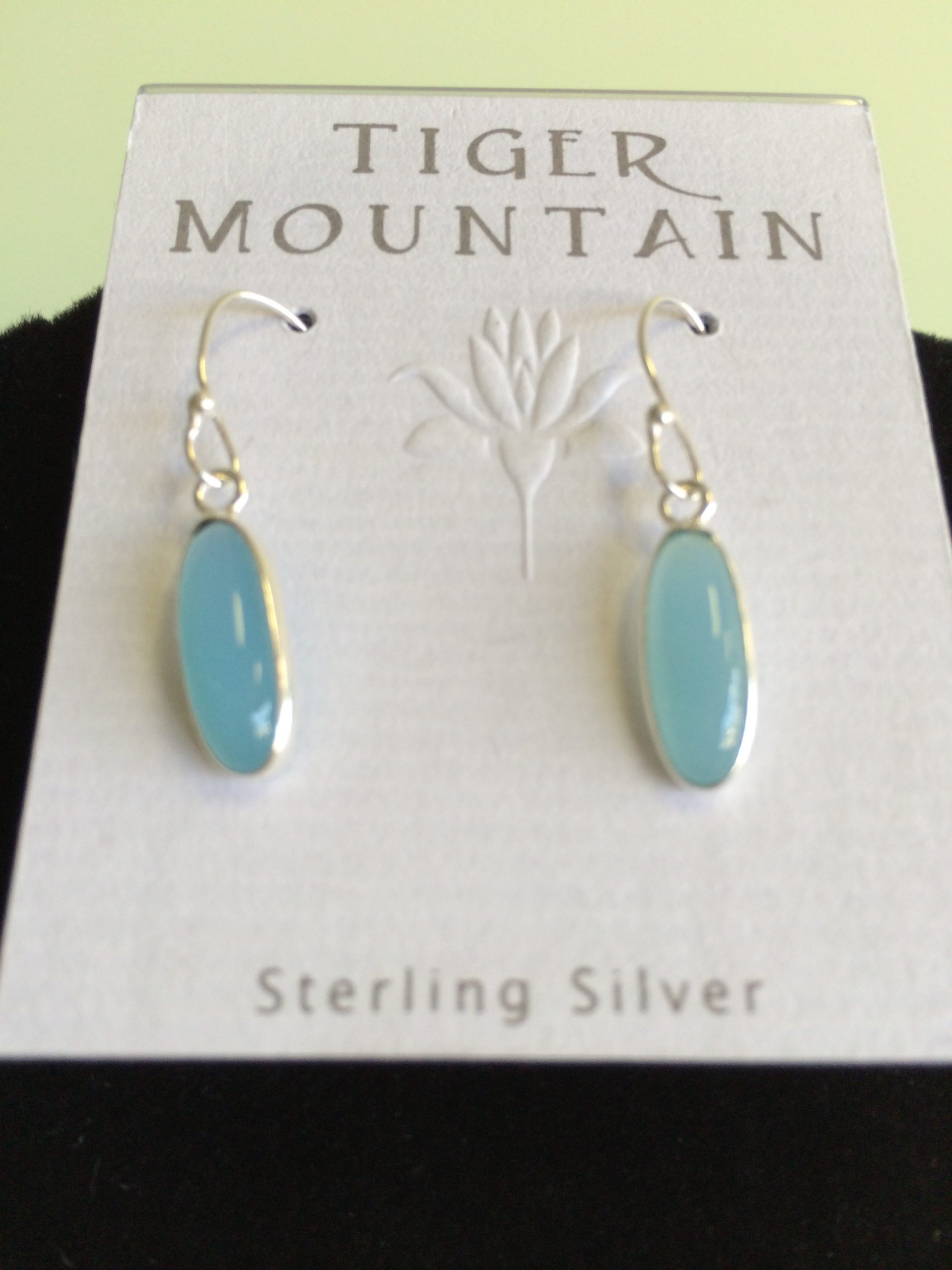 Sterling Silver Sky Blue Earrings