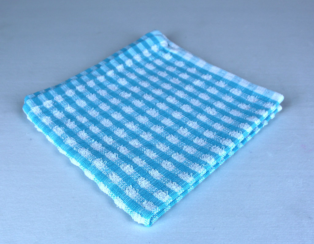 Dish Towel, Blue and White Check